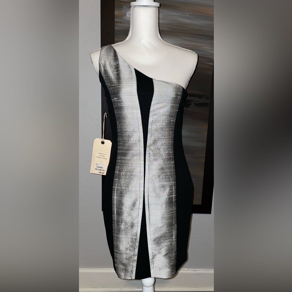 Rag and Bone Dress